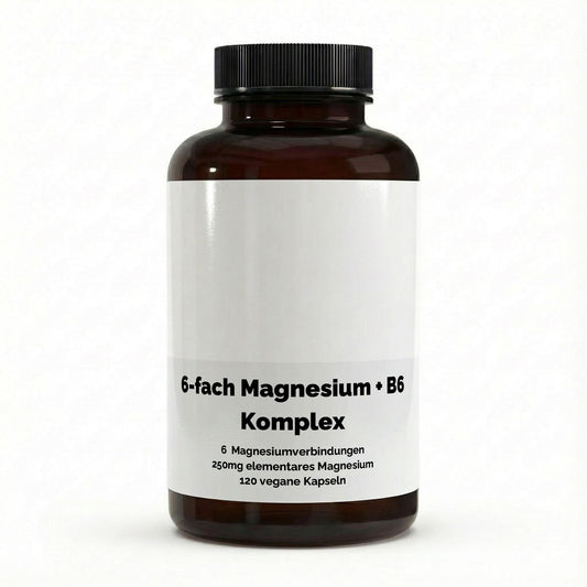 Magnesium 6x Komplex + B6 - 120 vegane Kapseln